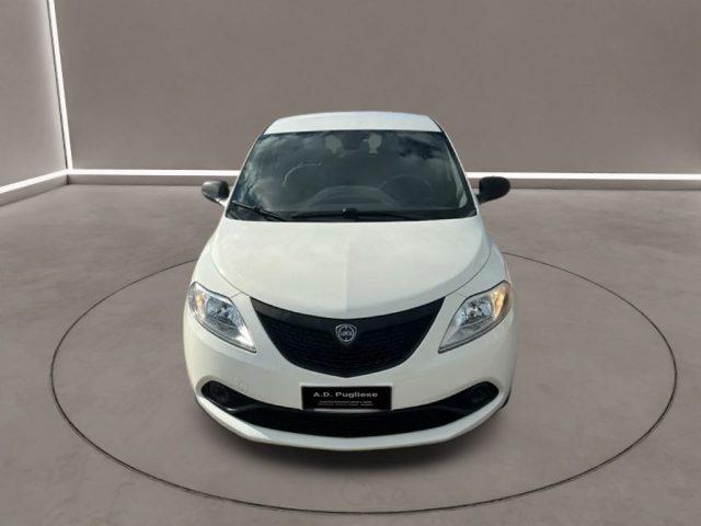 LANCIA Ypsilon 3ª serie - 1.2 69 CV 5 porte GPL Ecochic Ele