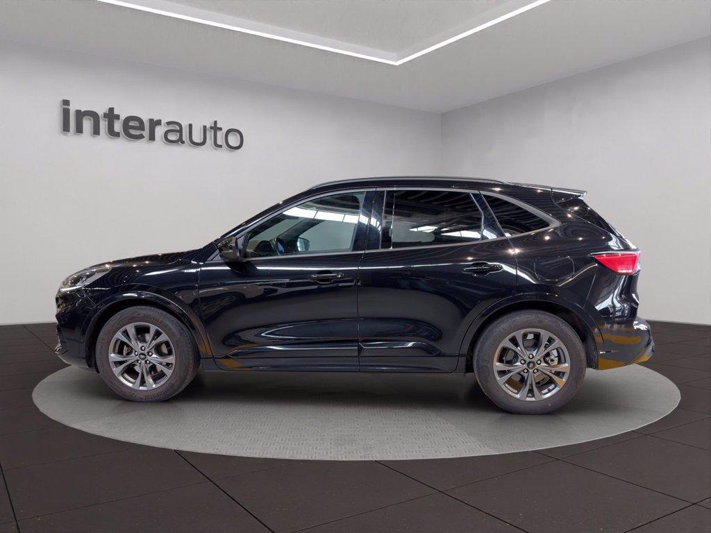 FORD Kuga 1.5 EcoBoost 150 CV 2WD ST-Line del 2023