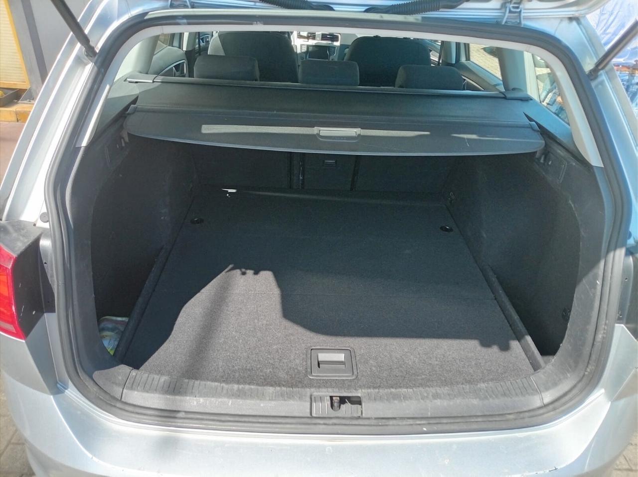Volkswagen Golf Variant Business 1.6 TDI 110 CV Highline BMT