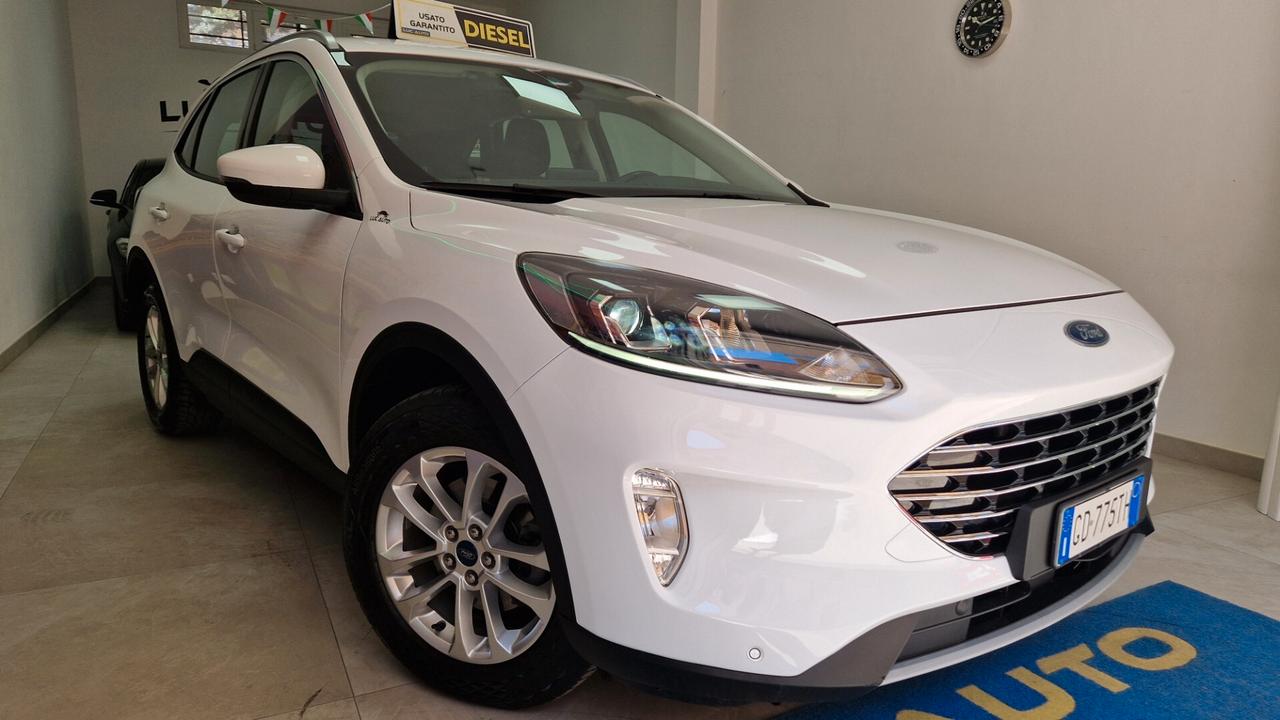 Ford Kuga 1.5 EcoBlue 120 CV aut. 2WD Titanium Business