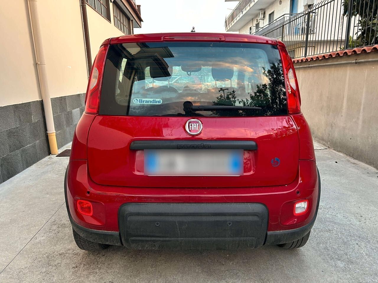 Fiat Pandina 1.0 Hybrid - 2024 Incidentata