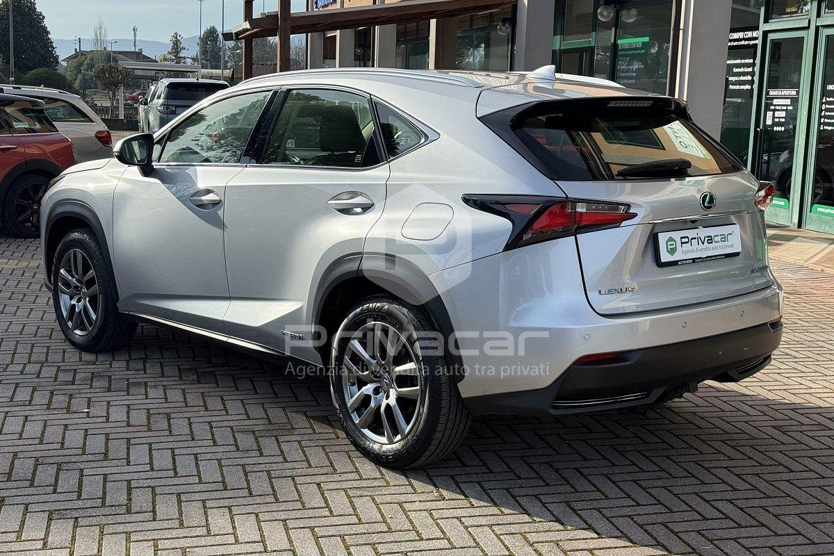 LEXUS NX Hybrid 4WD Executive