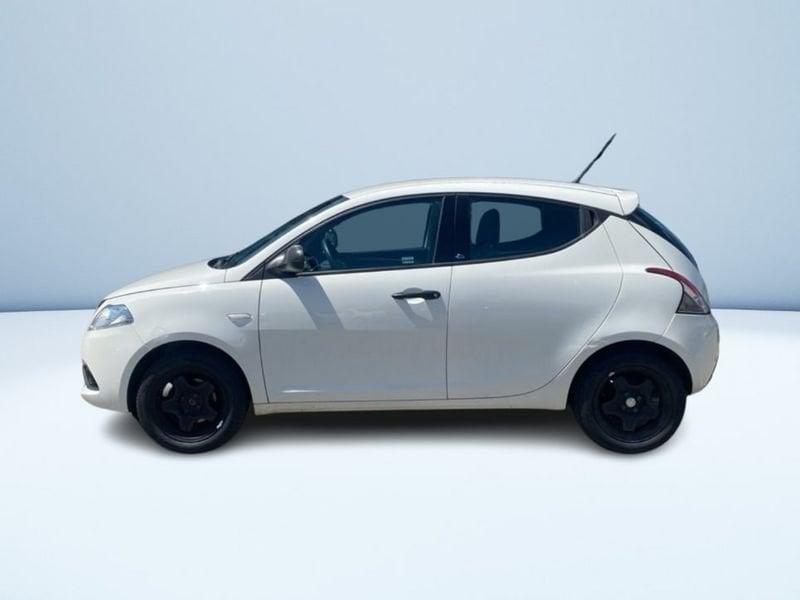 Lancia Ypsilon 1.2 ELEFANTINO BLU S&S 69CV MY19
