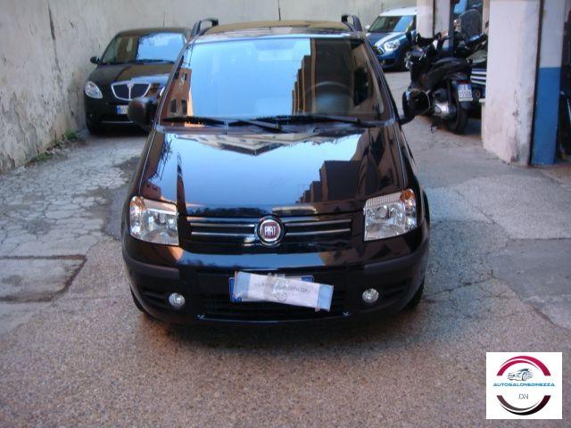 FIAT - Panda - 1.2 Dynamic