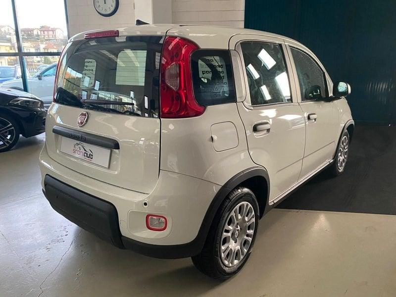 FIAT Panda 1.0 FireFly S&S Hybrid 5 POSTI - PROMO SIRONIAUTO+