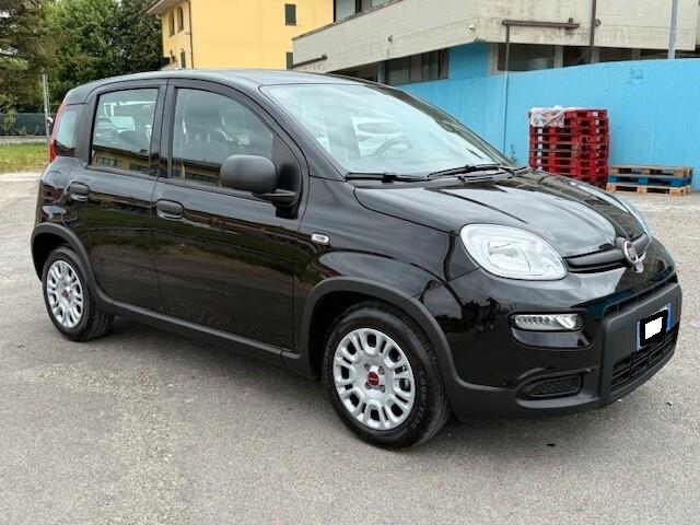 Fiat Panda aziendale iva esposta