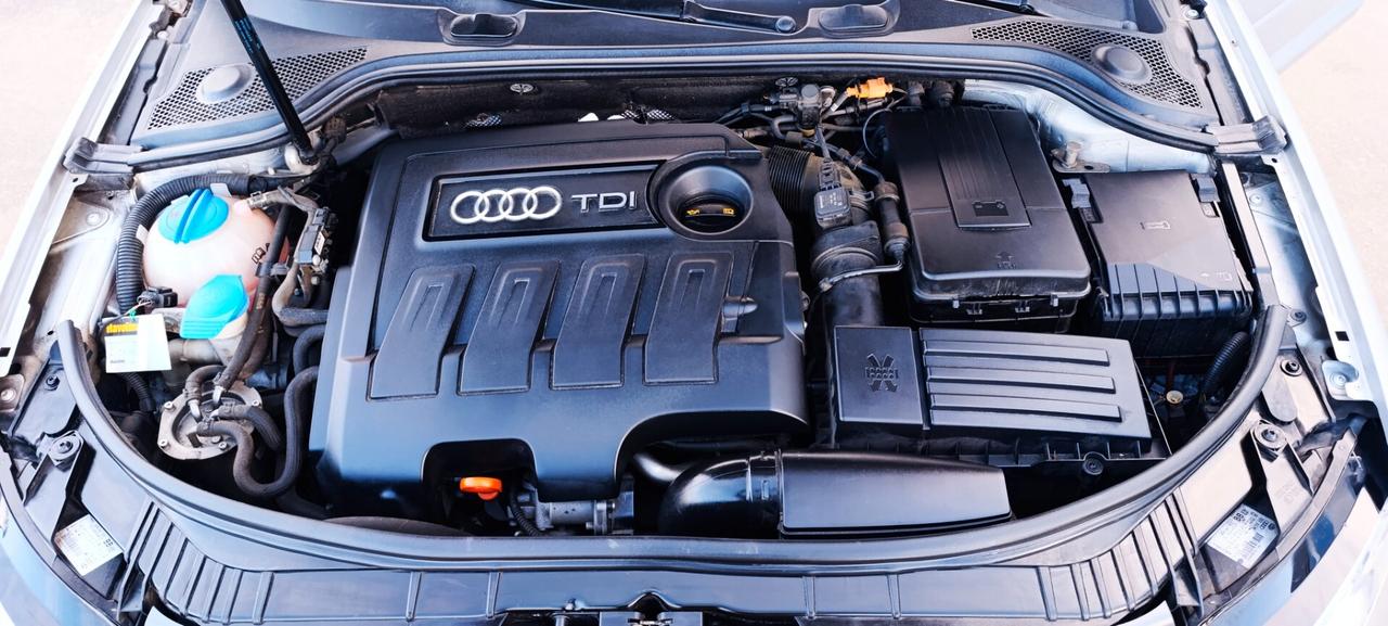 Audi A3 SPB 1.6 TDI 90cv. Young Edition - Ok Neopatentati- Uniproprietario