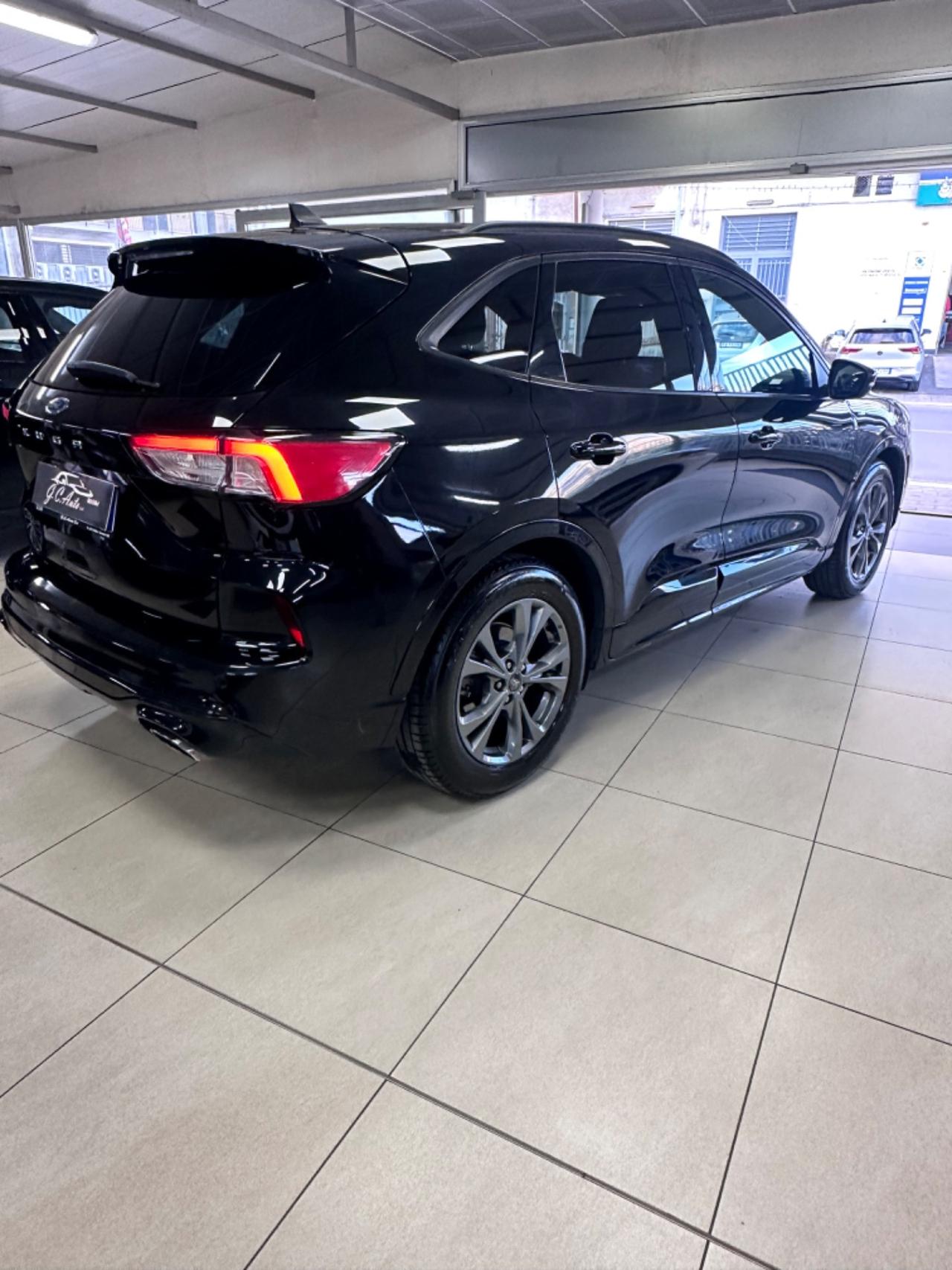 Ford Kuga 1.5 EcoBlue 120 CV 2WD ST-Line 2021