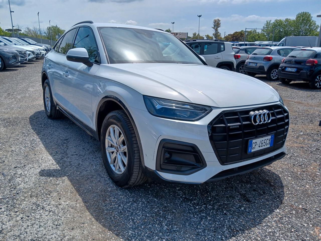 Audi Q5 SPB 40 TDI quattro S tronic Business Advanced