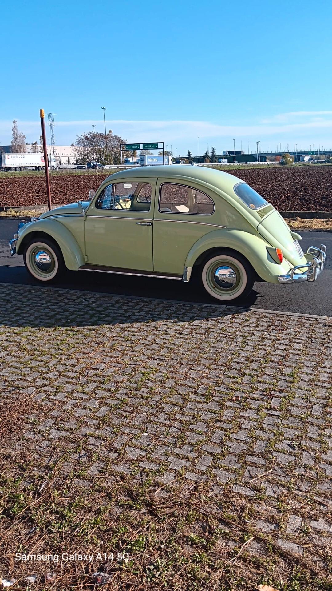 Volkswagen Maggiolino "Nasino"
