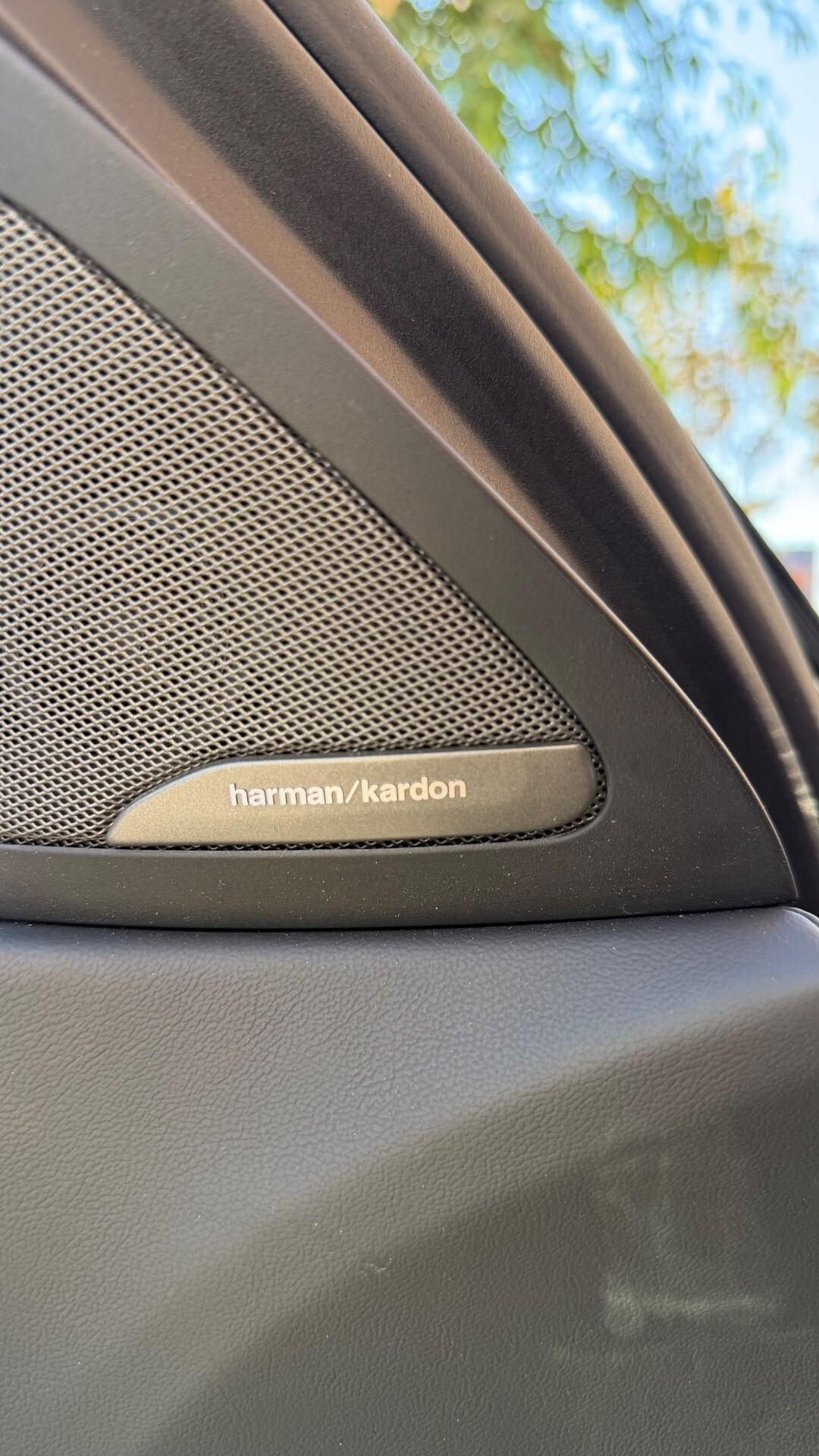 Bmw X6 xDrive30d 48V Msport IVA ESPOSTA