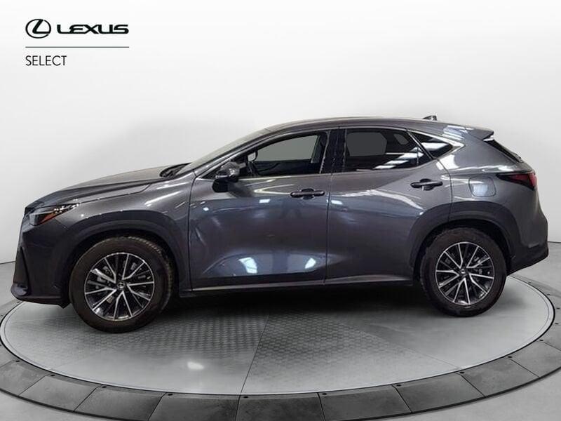 Lexus NX Plug-in 4WD Premium