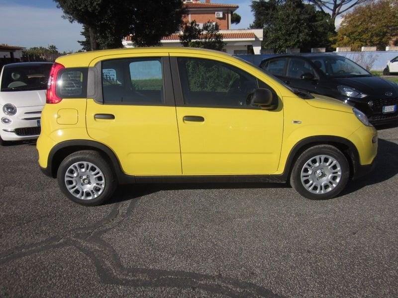 FIAT Panda 1.0 FireFly S&S Hybrid MY25