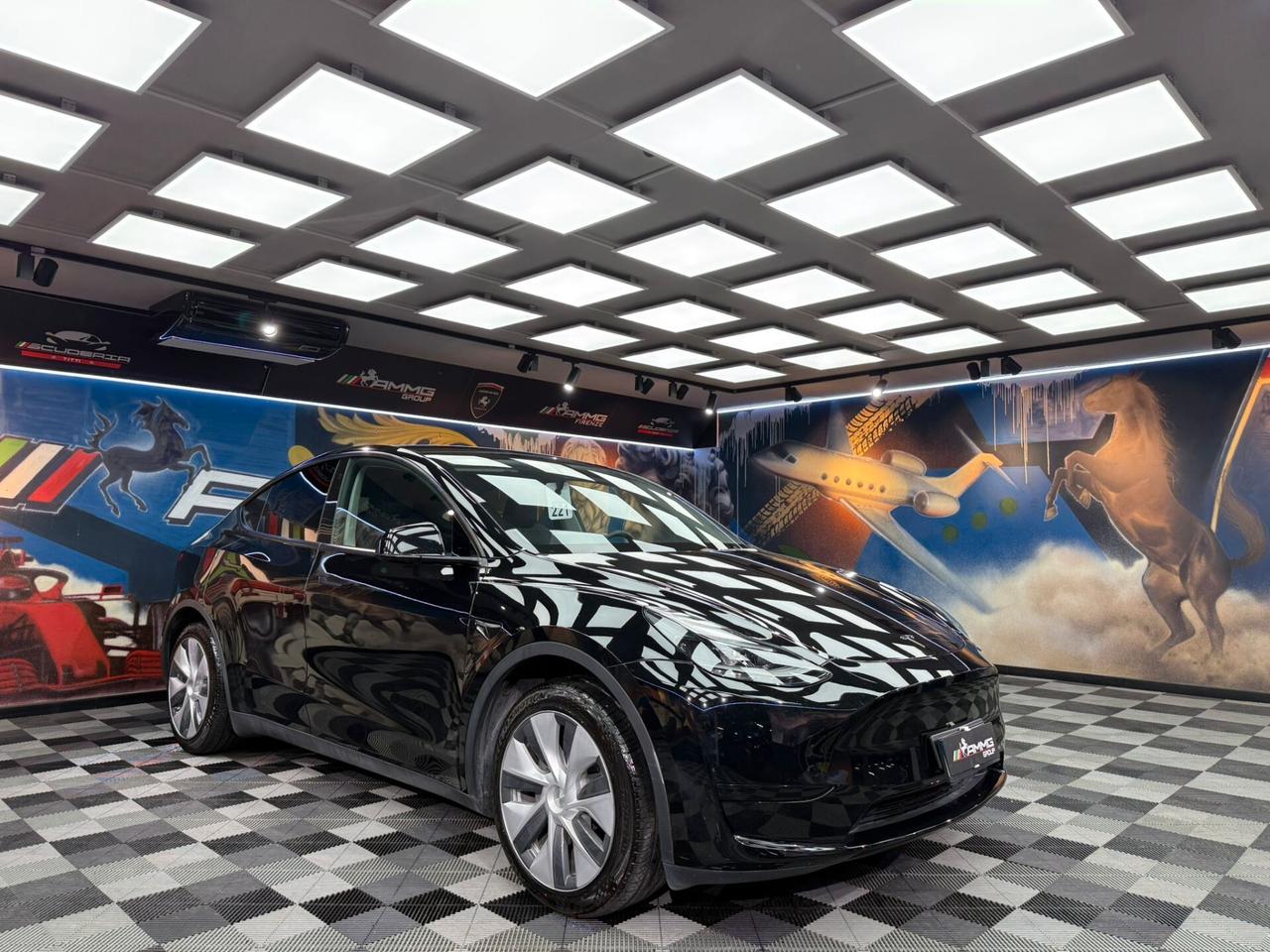 Tesla Model Y RWD (995)