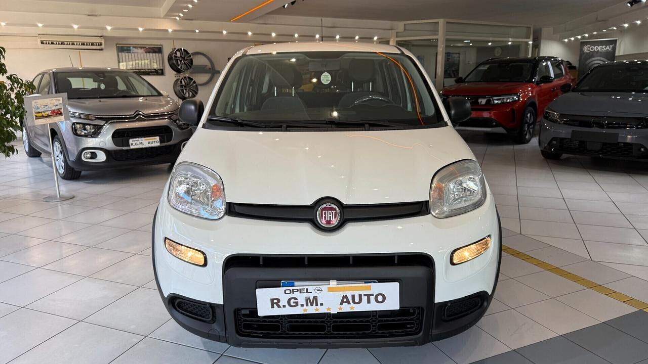 Fiat Panda 1.0 FireFly S&S Hybrid City Life