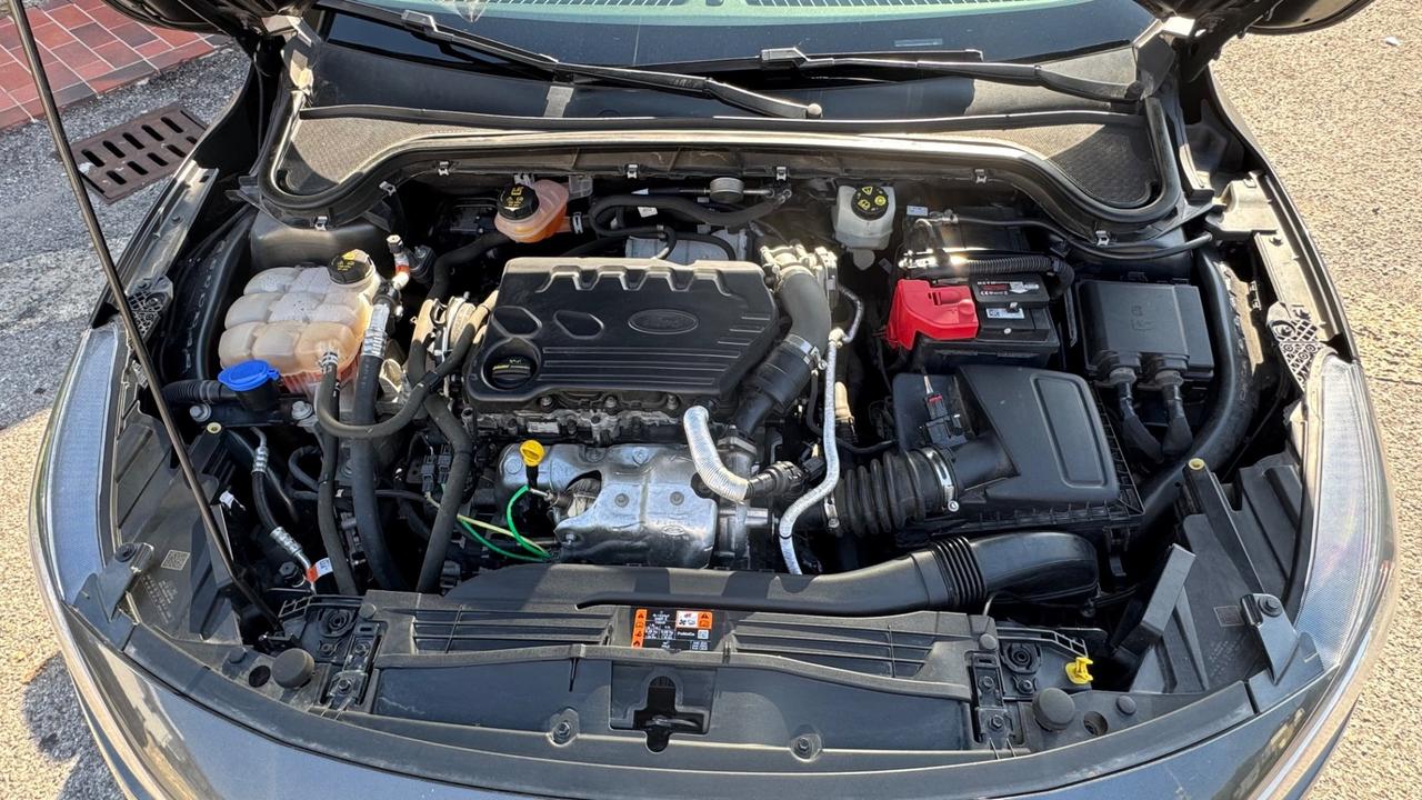Ford Focus 1.5 EcoBlue 120 CV automatico SW Business
