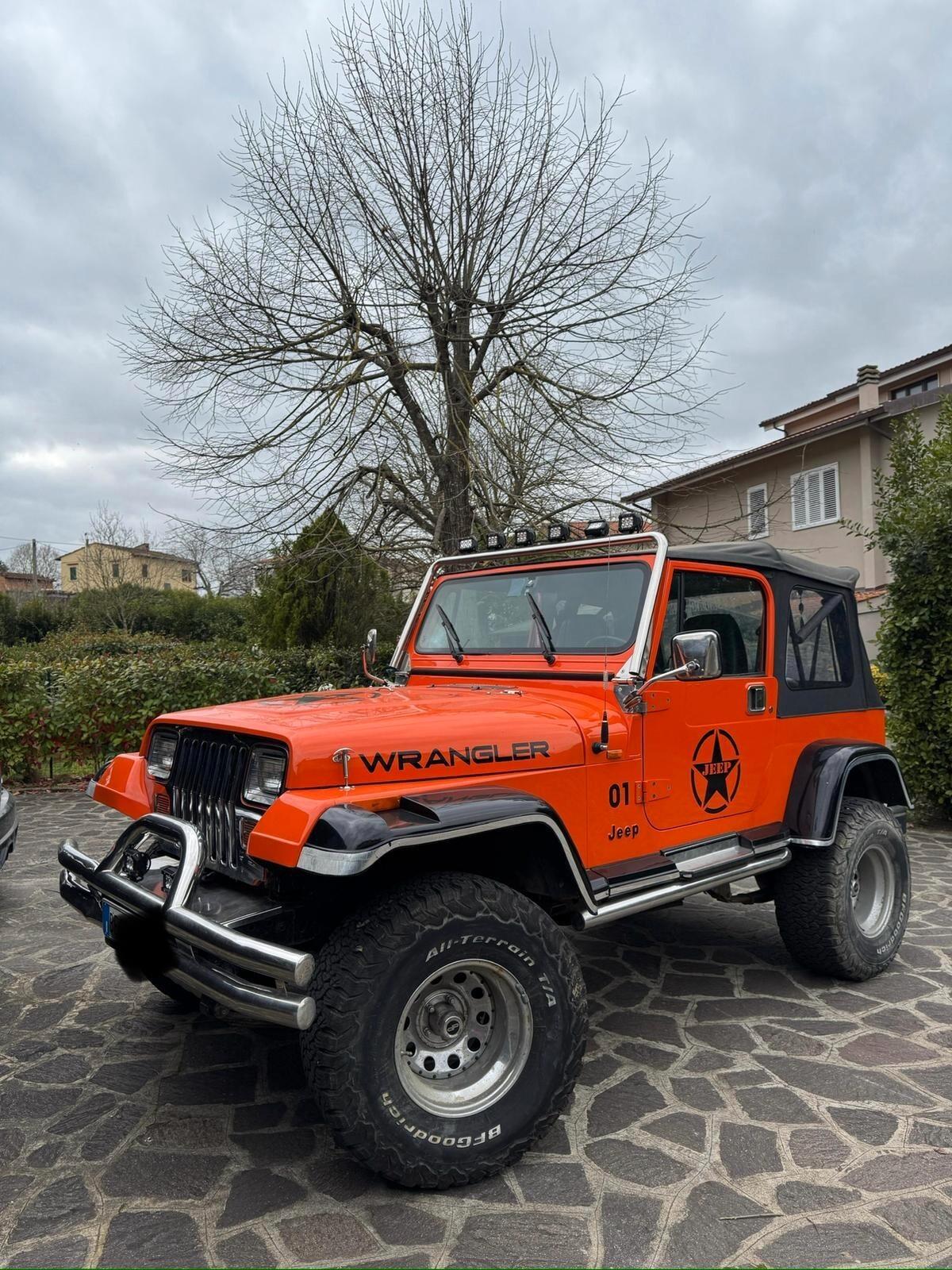 Jeep Wrangler 4.0 cat Hardtop Limited