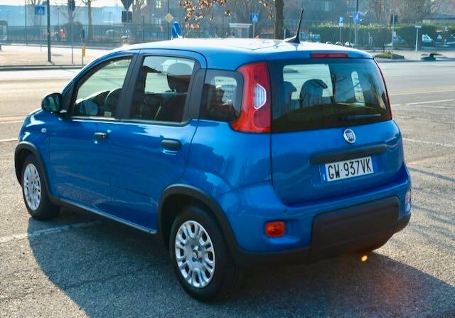 Fiat Panda 1.0 FireFly S&S Hybrid Pandina
