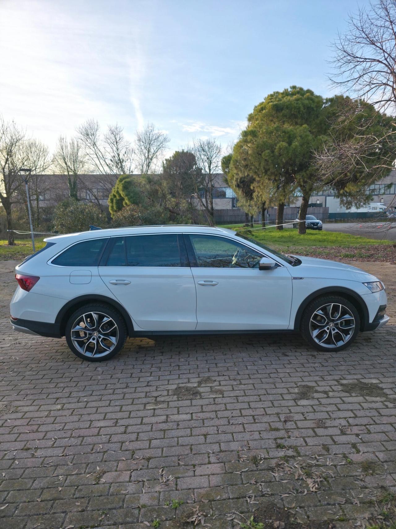 Skoda Octavia 2.0 TDI EVO SCR 200 CV DSG 4x4 Wagon Scout