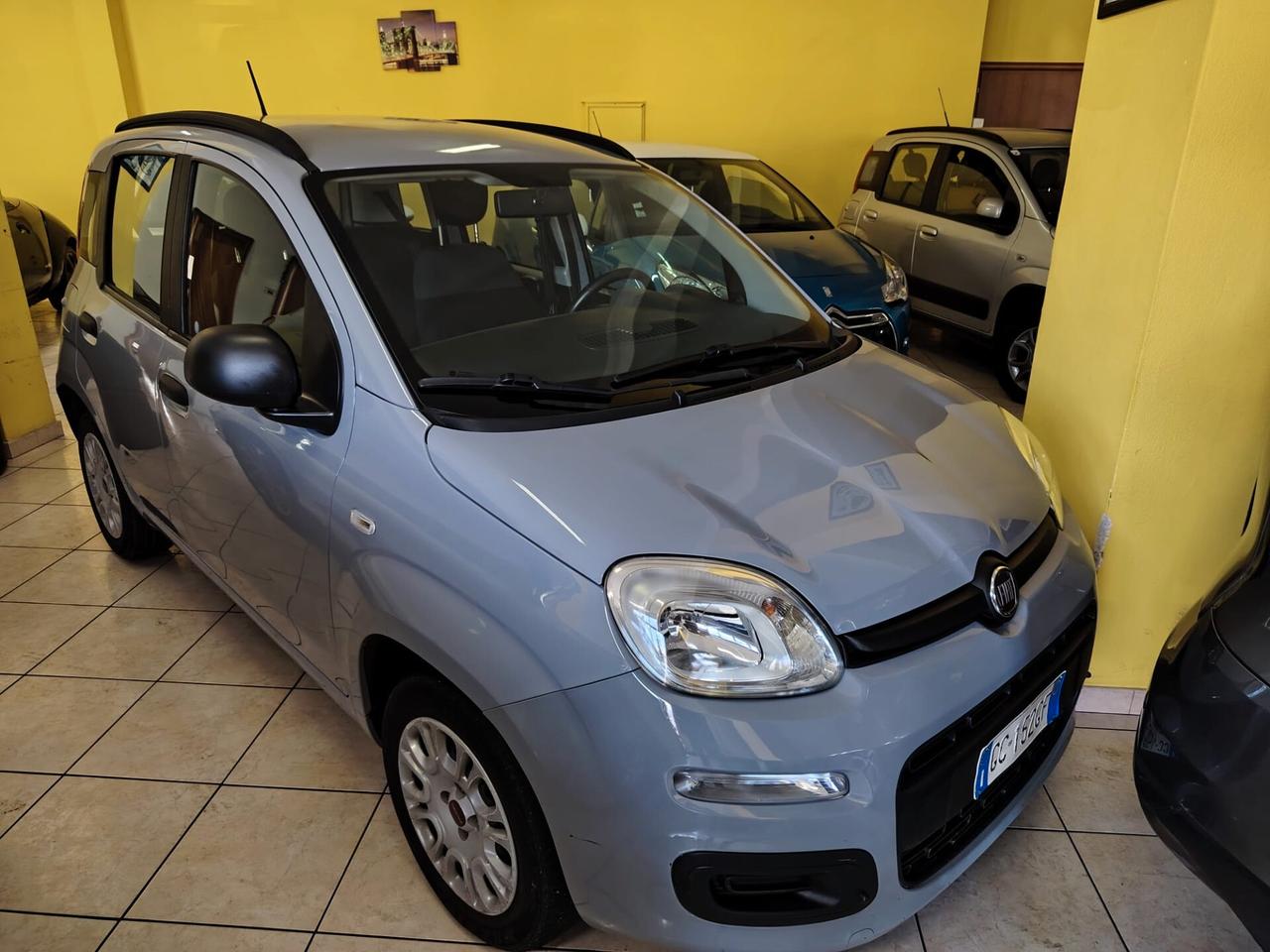 Fiat Panda 1.2 Pop Clima-1Proprietario-