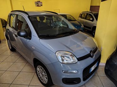 Fiat Panda 1.2 Pop Clima-1Proprietario-