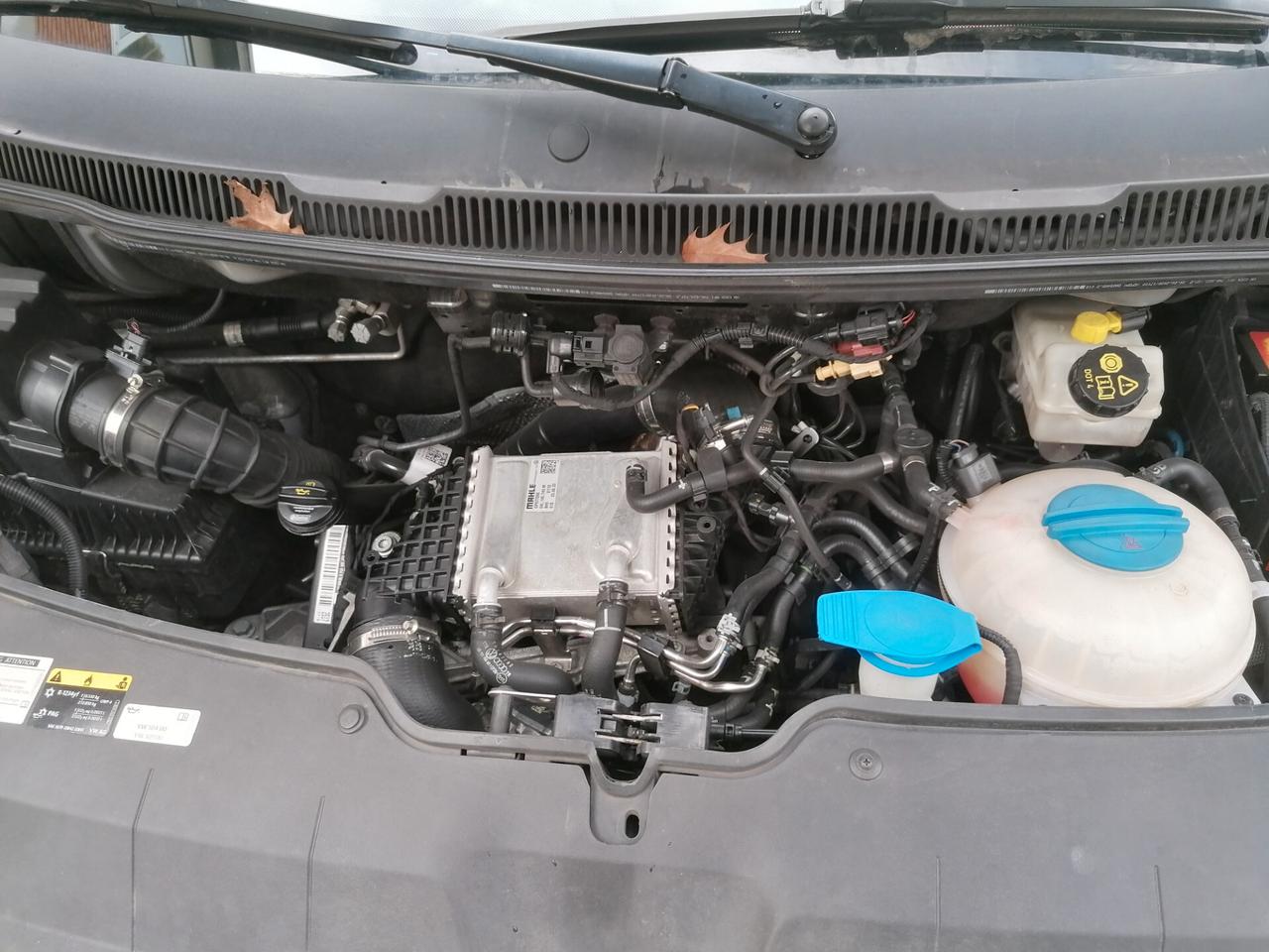 Volkswagen Caravelle T6 2.0 TDI 150CV DSG - GARANZIA 24 mesi