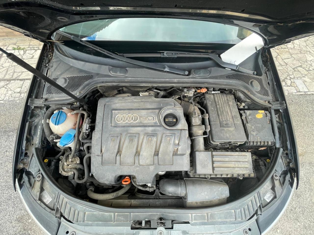 Audi A3 SPB 1.6 TDI 90 CV CR F.AP Ambition