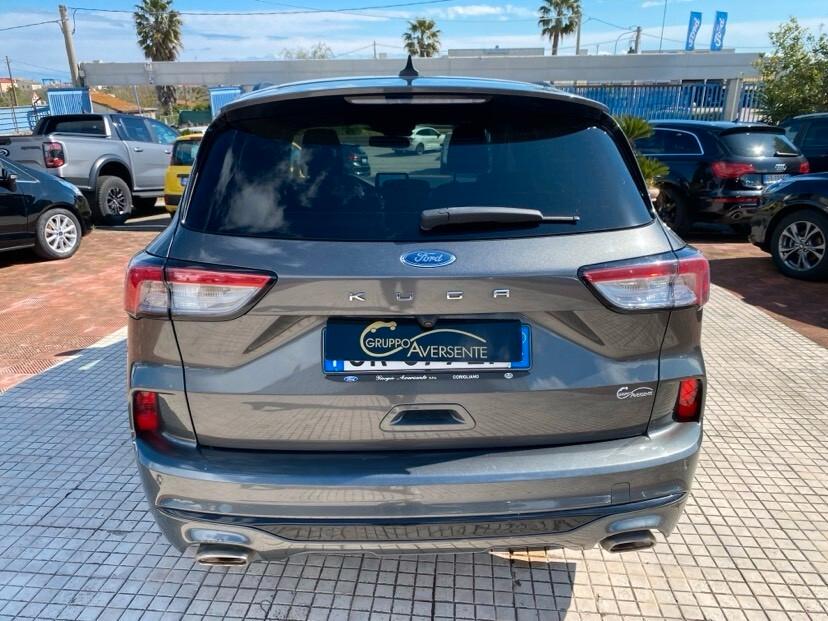 Ford Kuga 1.5 EcoBoost 150 CV 2WD ST-Line