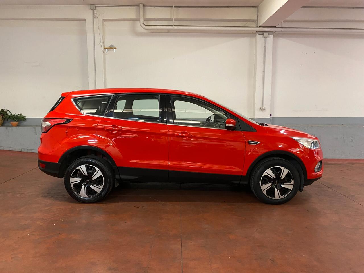 Ford Kuga 1.5 TDCI 120 CV S&S 2WD Plus