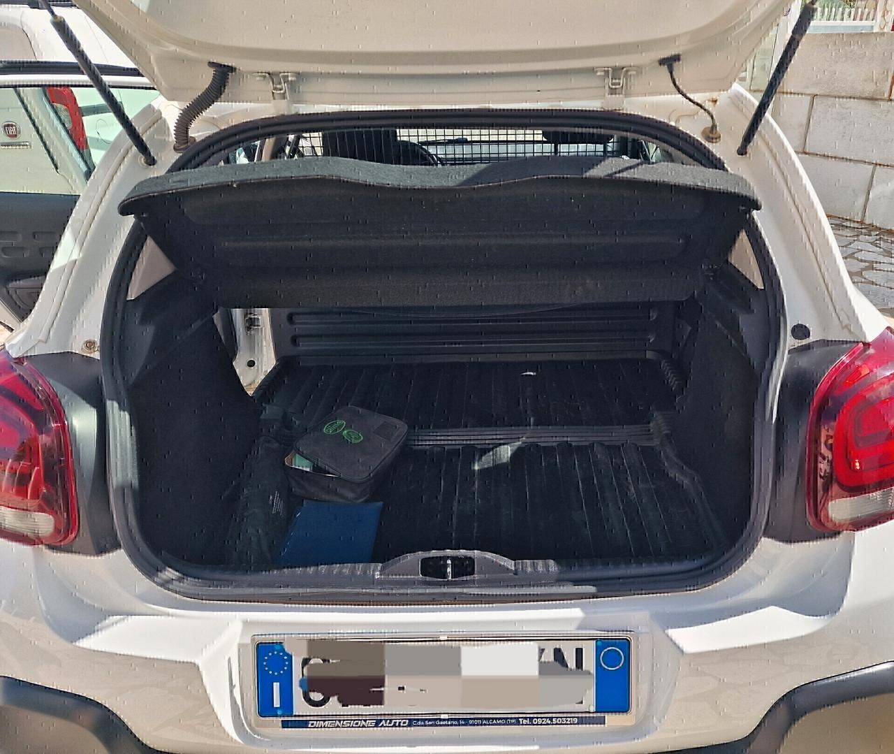 Citroen C3 BlueHDi 100CV Van Feel 2023