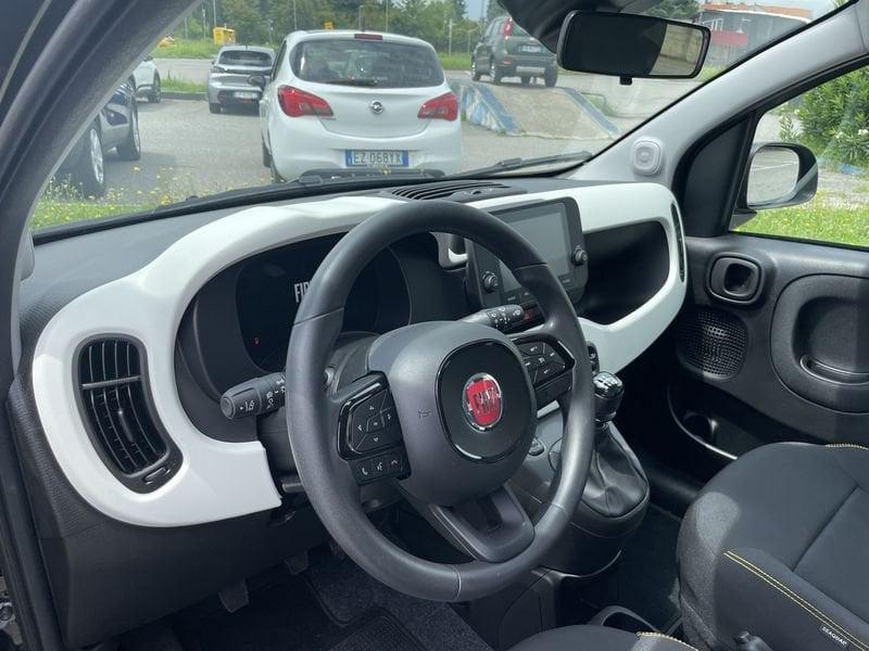 FIAT Panda Panda 1.0 FireFly S&S Hybrid Pandina