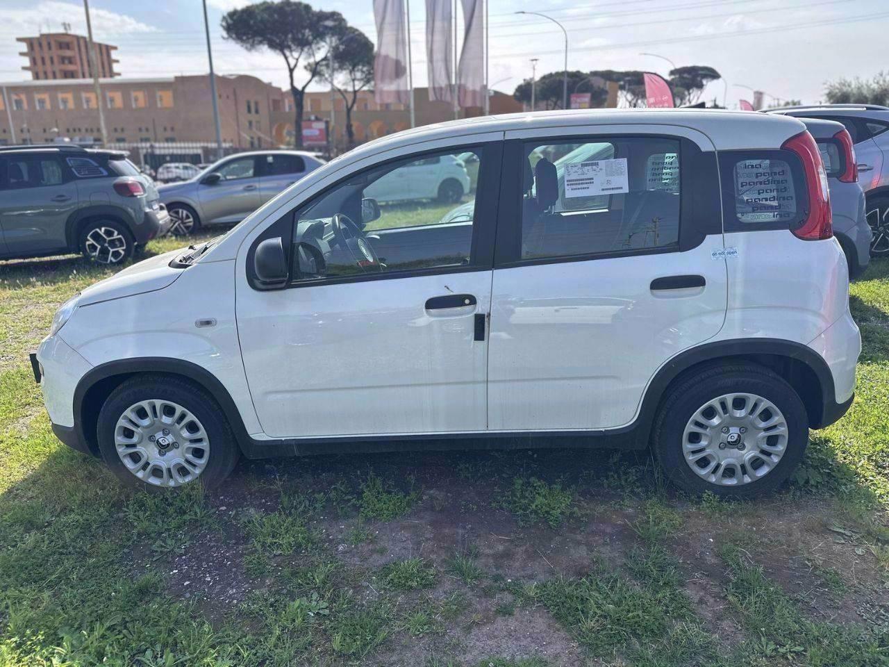 FIAT Pandina III 2024 - Pandina 1.0 firefly hybrid Icon s&s 70cv