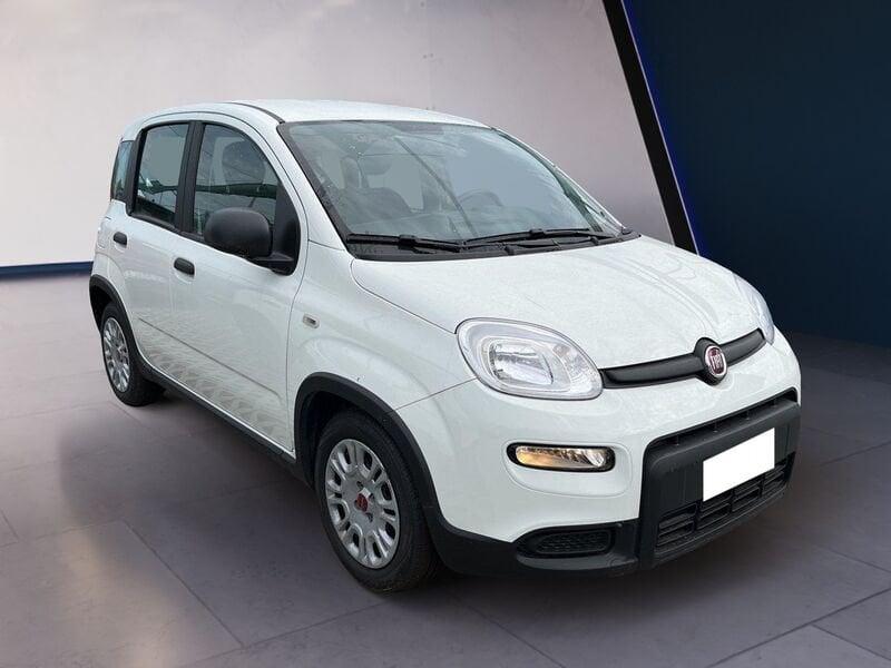 FIAT Panda My23 1.0 70cv Hybrid Panda