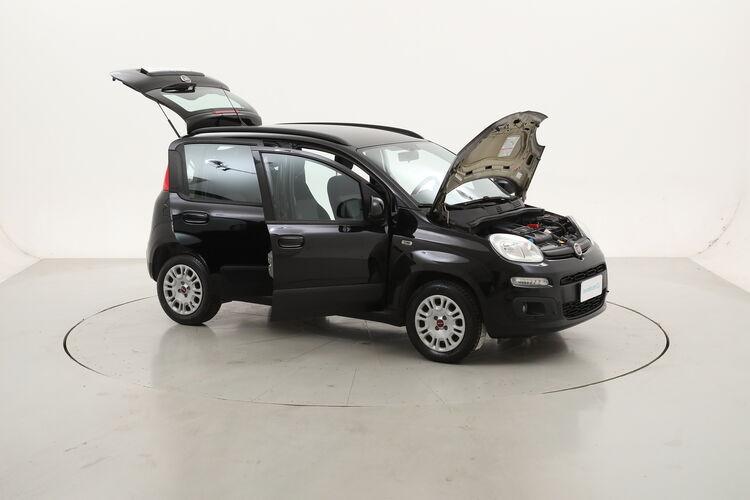 Fiat Panda Lounge BZ059531 1.2 Benzina 69CV