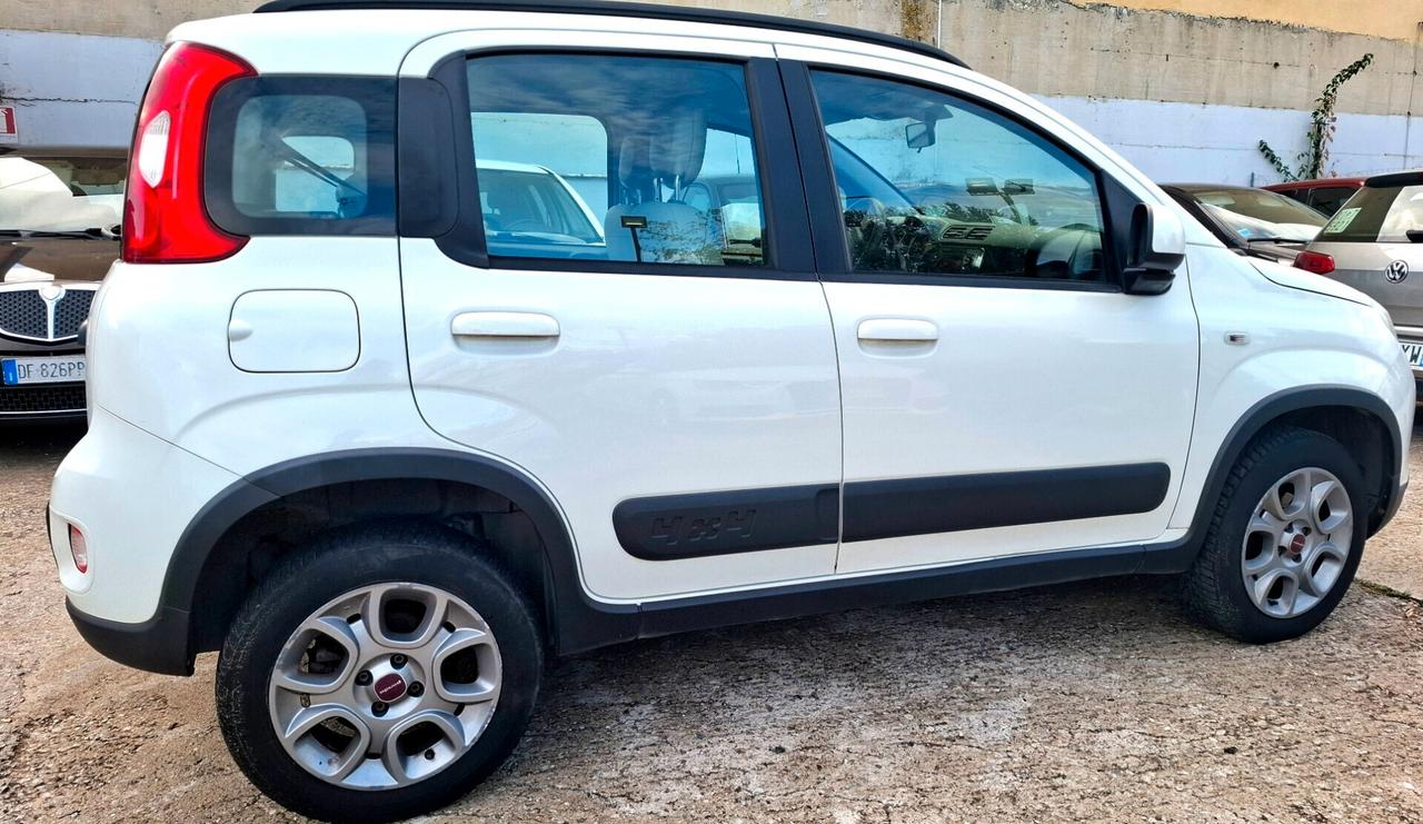 Fiat Panda 1.3 MJT S&S 4x4 Antartica