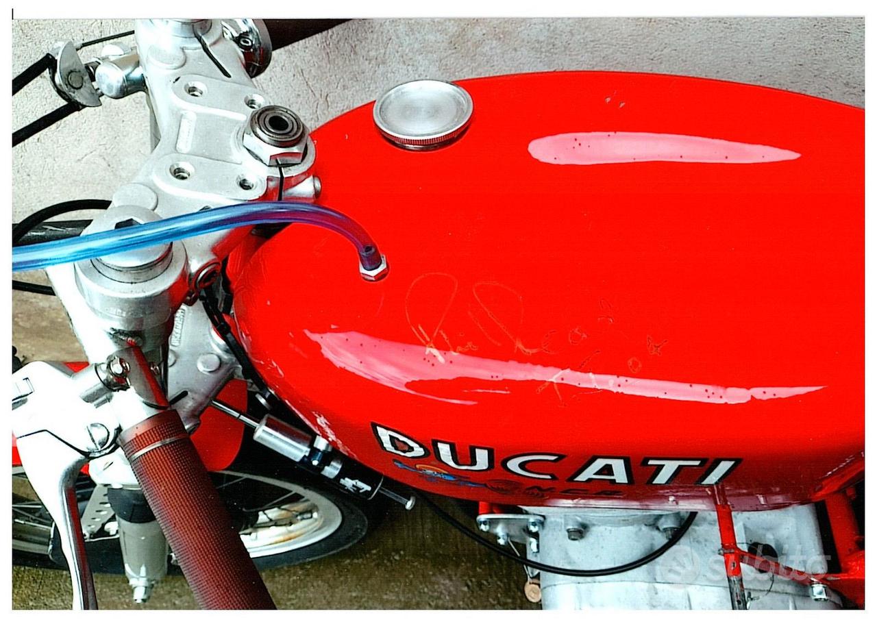 Ducati Mack 5 NCR Corsa autografata - TARGA ORO