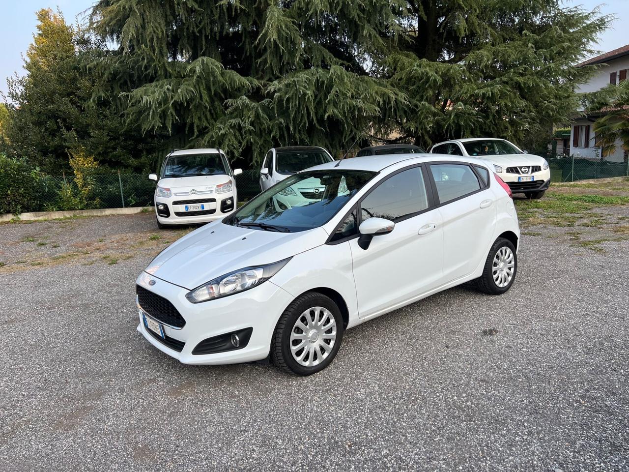Ford Fiesta 1.4 5 porte Bz.- GPL Business*NEOPATENTATI