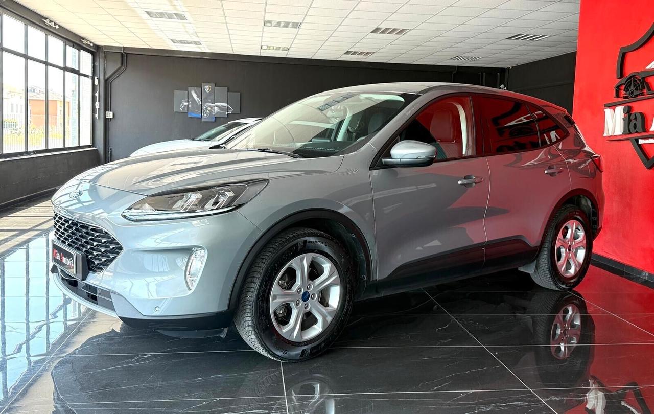 Ford Kuga 1.5 EcoBlue 120 CV aut. 2WD Titanium Business