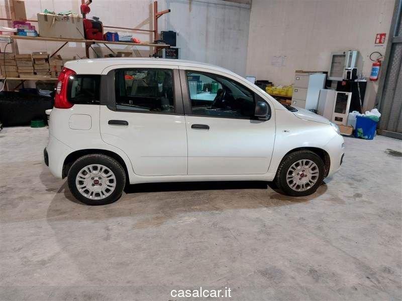 FIAT Panda FIAT PANDA 1.2 Easy 3 ANNI GARANZIA KM ILLIMITATI PARI ALLA NUOVA