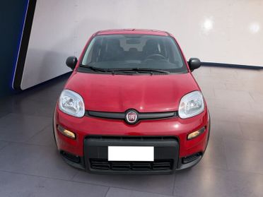 FIAT Panda My24 1.0 70cv Hybrid Panda