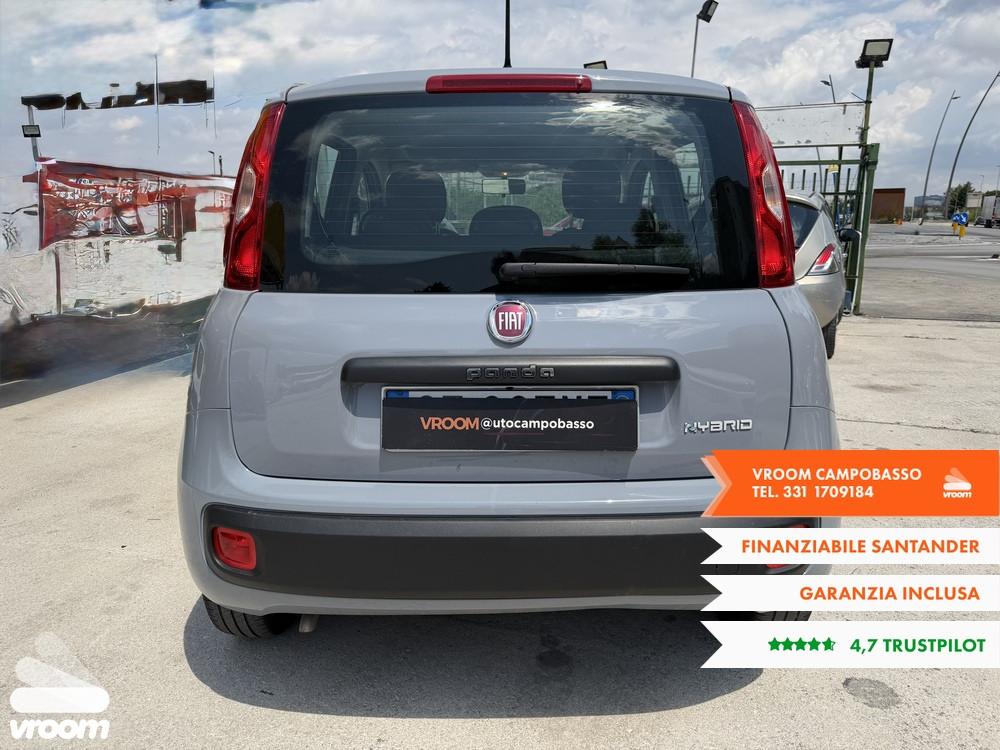 FIAT Panda 3ª serie Panda 1.0 FireFly S&S Hybrid