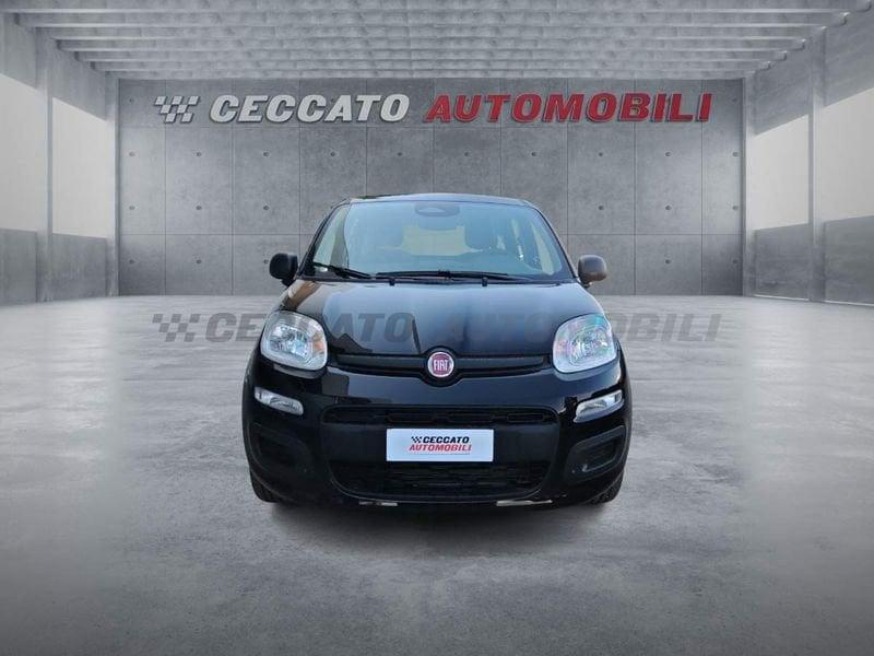 FIAT Panda Panda 1.0 70cv Hybrid Icon