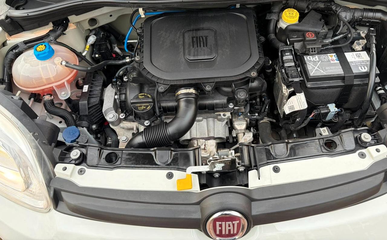 FIAT PANDA HYBRID CITY LIFE 5 POSTI