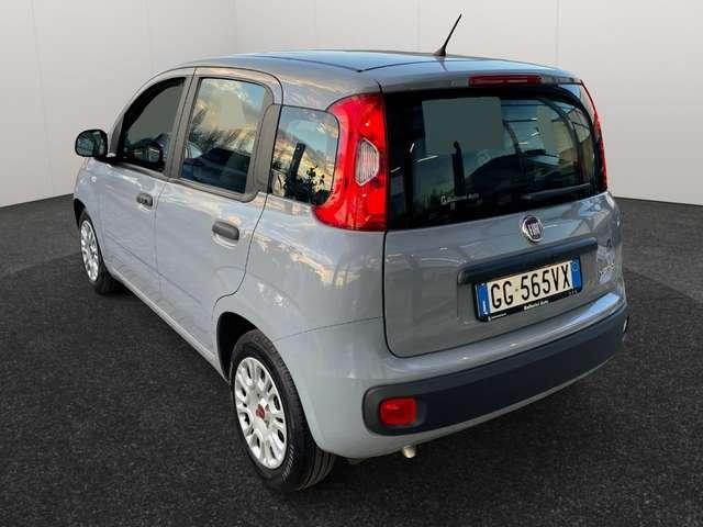 Fiat Panda 1.0 firefly hybrid 69Cv City Life