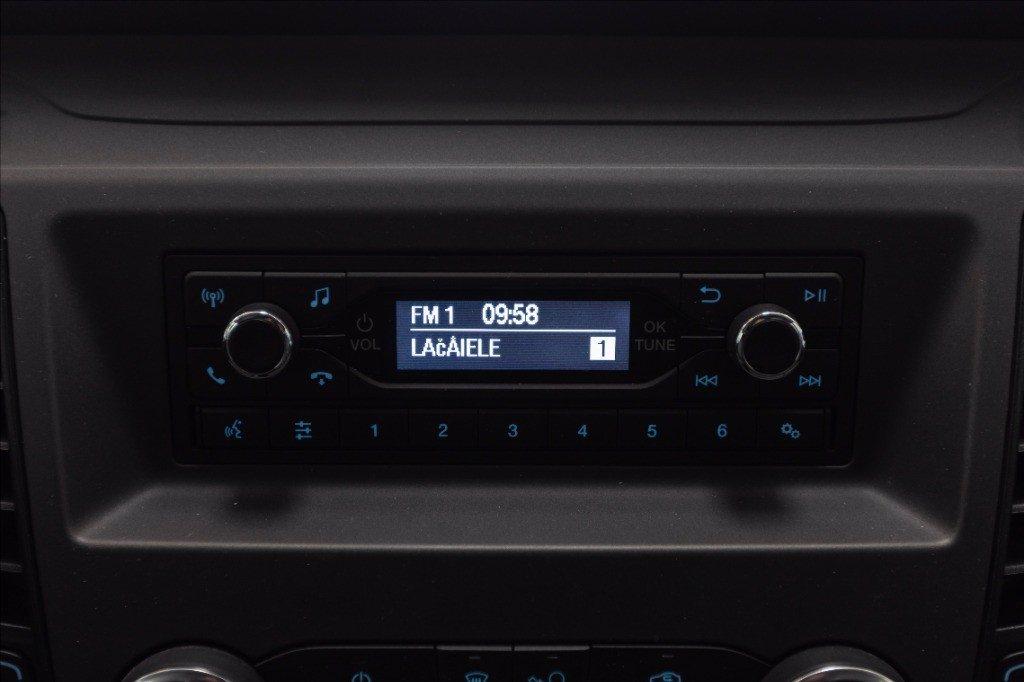 FORD Transit 350 rwd 2.0 ecoblue 130cv trend L2 d.cab r.gem del 2022