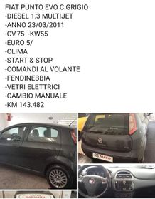 Fiat Punto Evo Punto Evo 1.3 Mjt 75 CV DPF 5 porte S&S Active