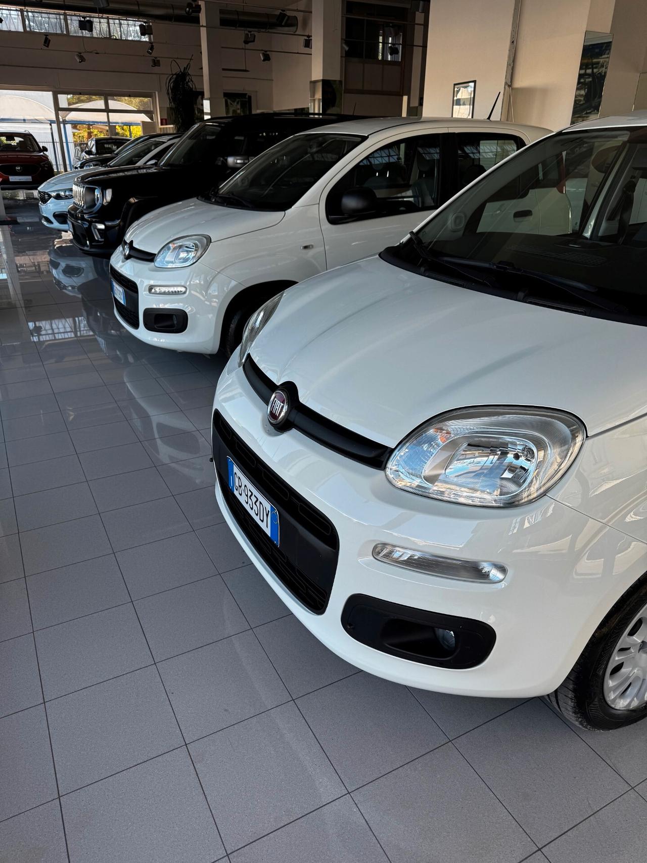 DISPONIBILE 10 FIAT - PANDA 1.2 -BZ FULL OTIONAL