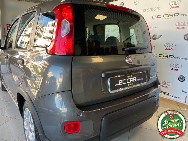 FIAT Panda 1.0 FireFly 70cv S&S Hybrid