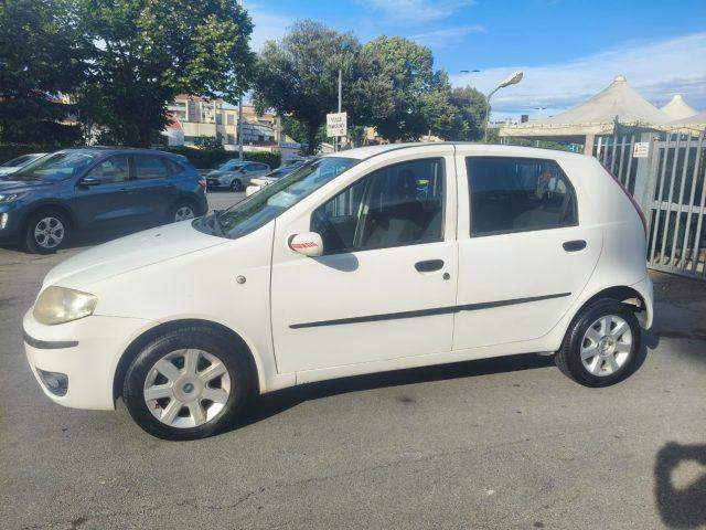 FIAT Punto 1.3 Multijet 16V 5 porte Dynamic Ok Neopatentati
