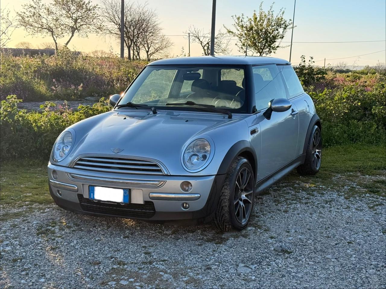 Mini 1.4 One D